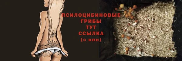 гидра Беломорск