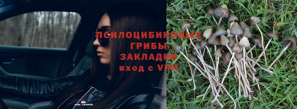трава Белоозёрский