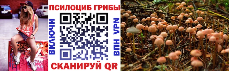 Галлюциногенные грибы мухоморы  дарнет шоп  Шарыпово 